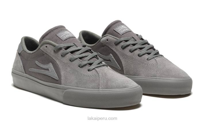 ante_gris_6xtr102lakai_flaco_2.jpg ante gris 6XTR102Lakai flaco 2 - Imagen 1